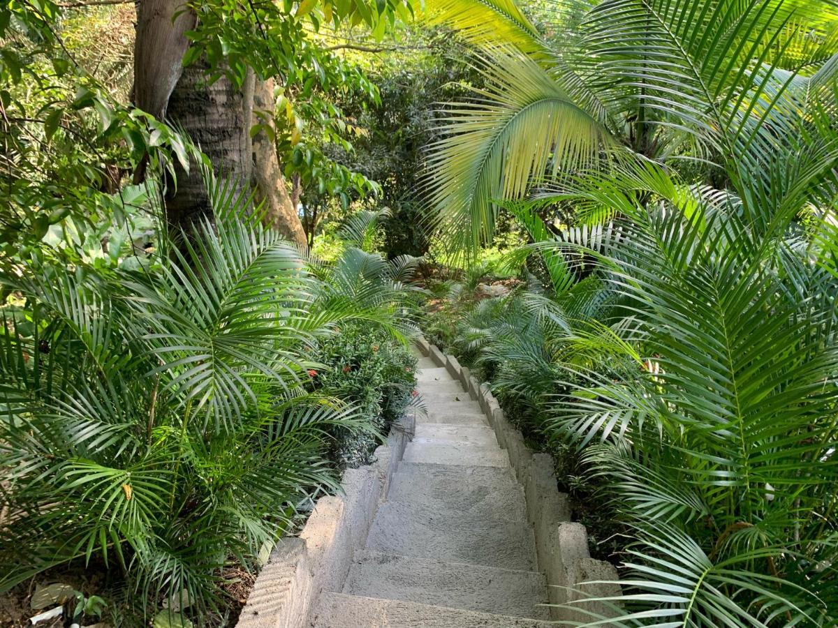 Hotel La Casablanca Tayrona Calabazo  Dış mekan fotoğraf