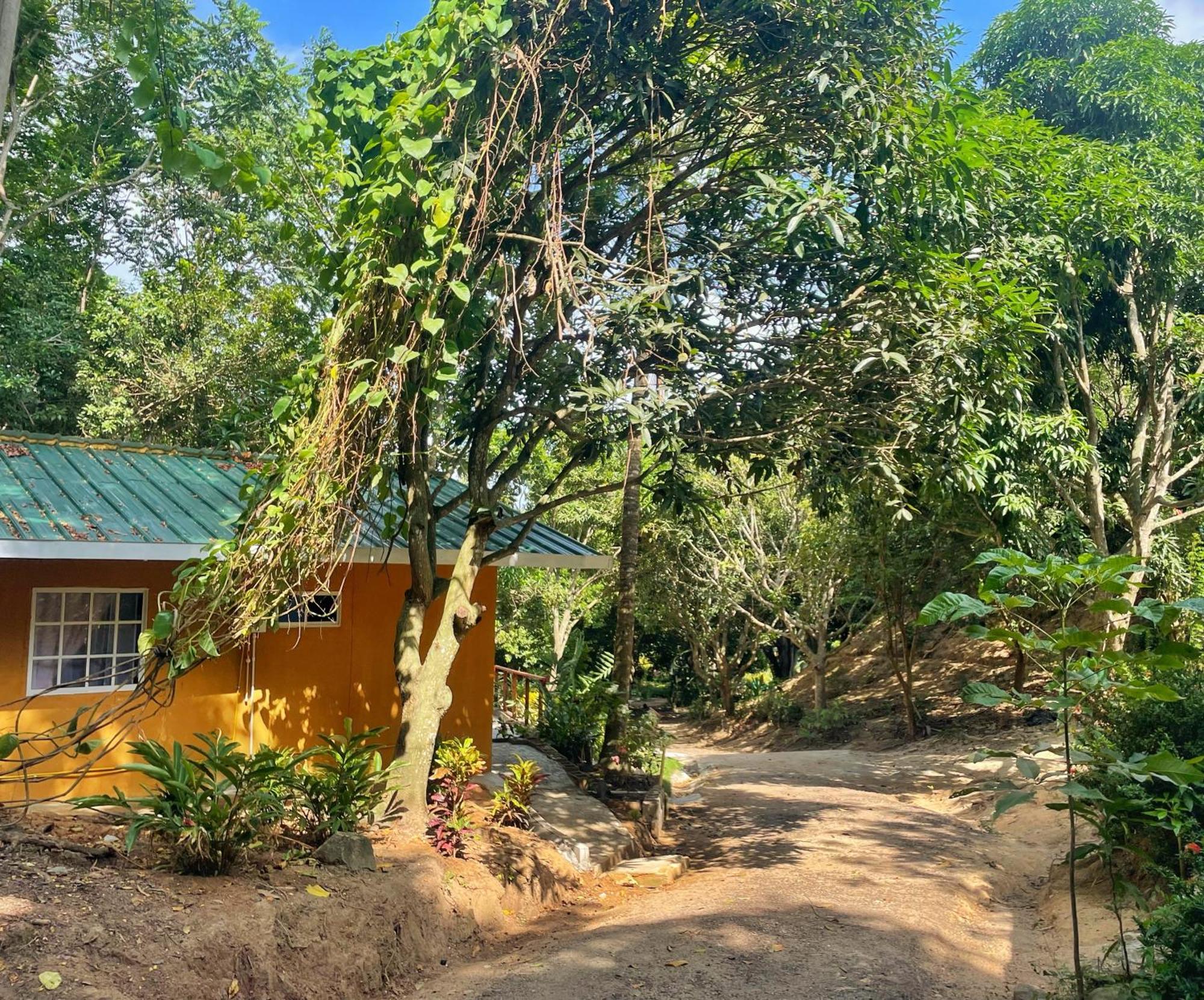Hotel La Casablanca Tayrona Calabazo  Dış mekan fotoğraf